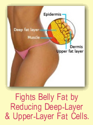 Proven for Fast Weight Loss