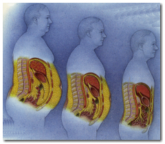 Weight Loss Research